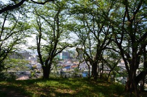 四方に景色が広がっていて、枚方だけでなく、淀川を挟んで摂津の山の連なりも見えています。